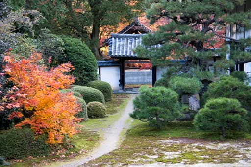 京都　随心院の本堂前庭