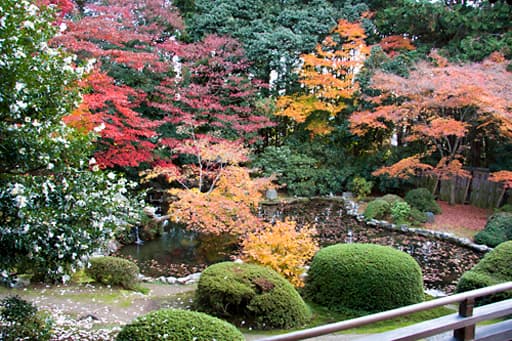 京都　随心院の庭園の心字池